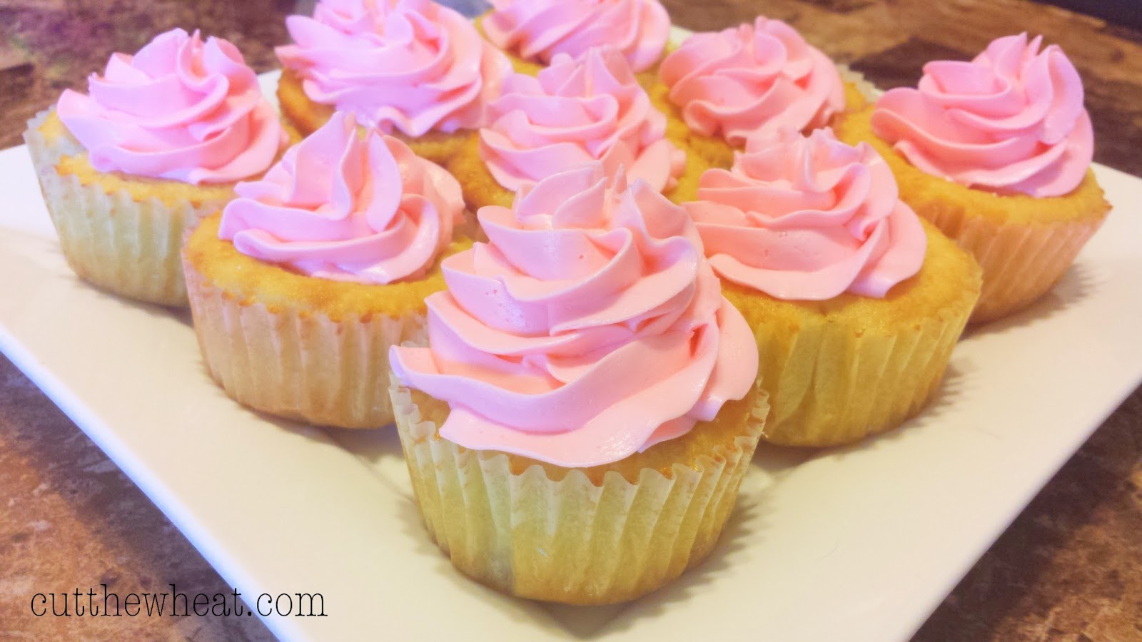 Cupcake with Sugar Free Frosting Recipes