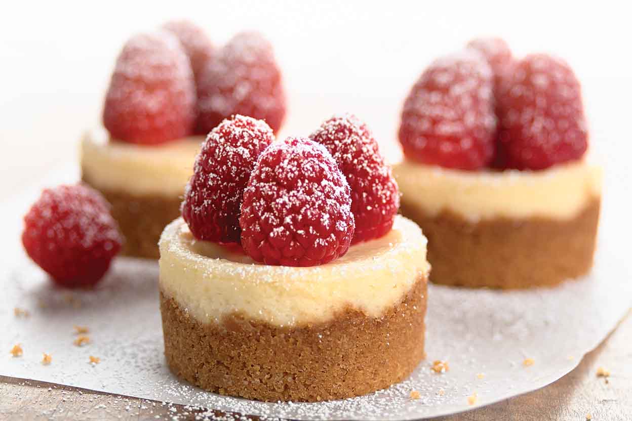 Mini Cheesecake Recipe