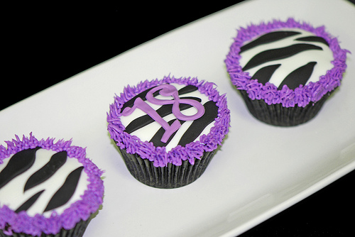 Purple Zebra Birthday Decorations Purple Zebra Birthday Decorations