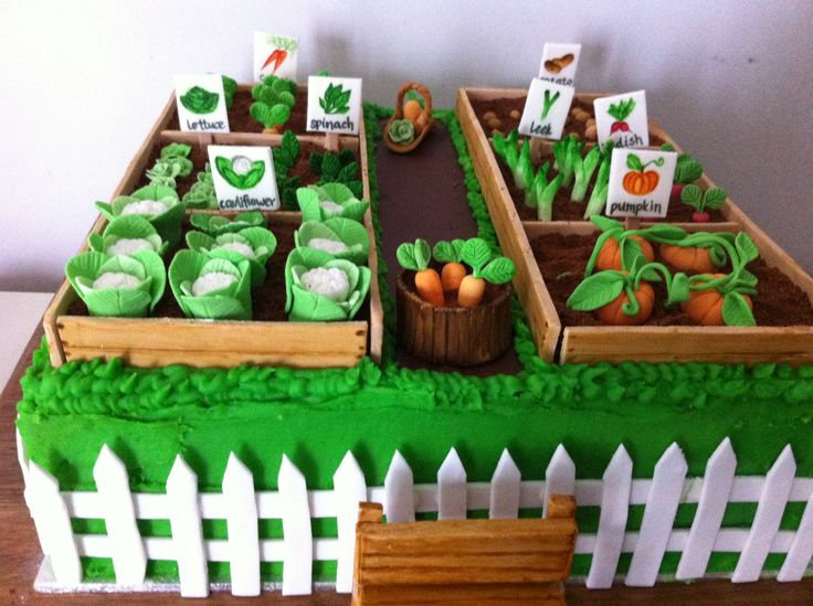 Vegetable Garden Cake Vegetable Garden Cake