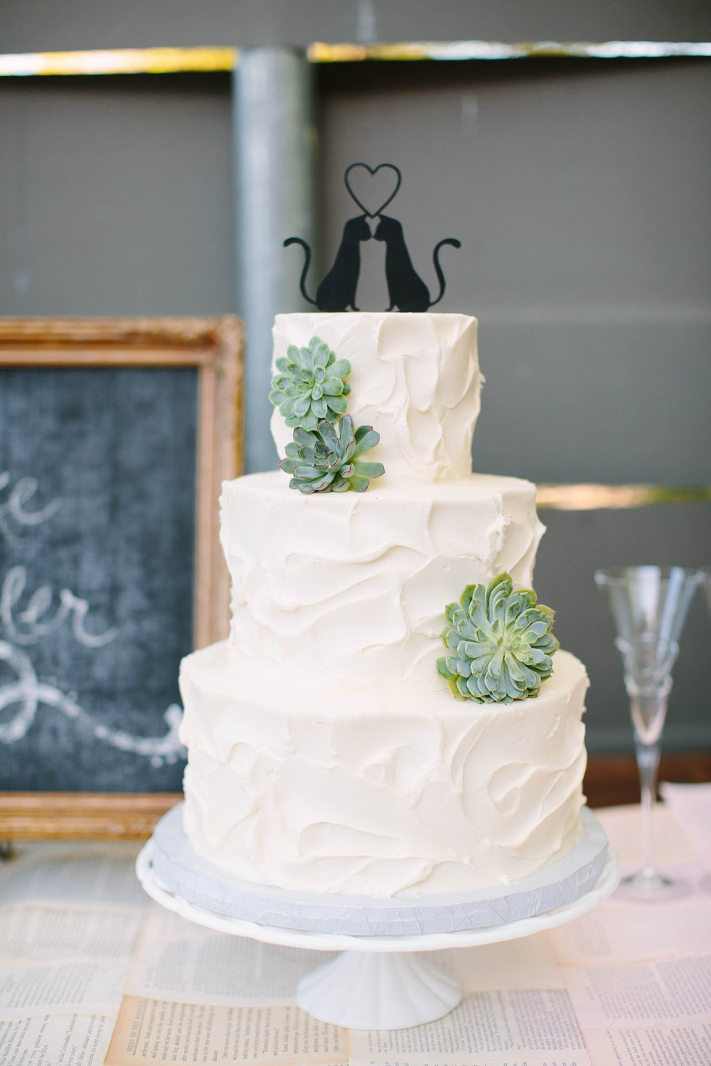 White Wedding Cake Succulents