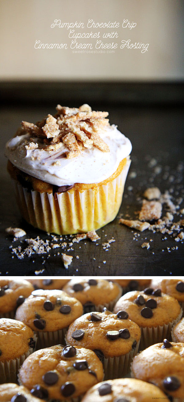 6 Photos of Chocolate Chip Pumpkin Cupcakes With Cream Cheese Frosting