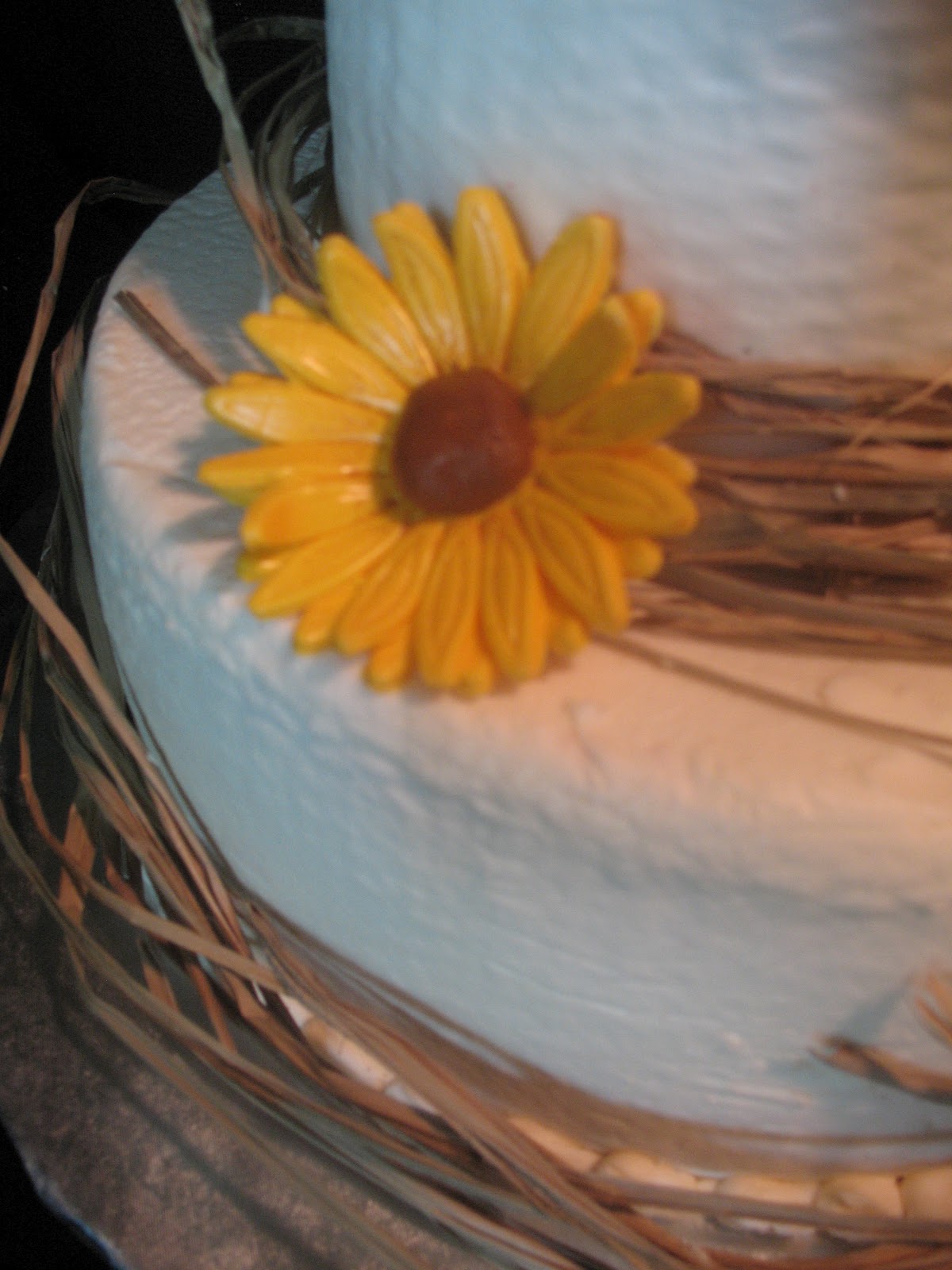 Country Wedding Shower Cake Ideas