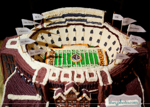 Florida State University Cake