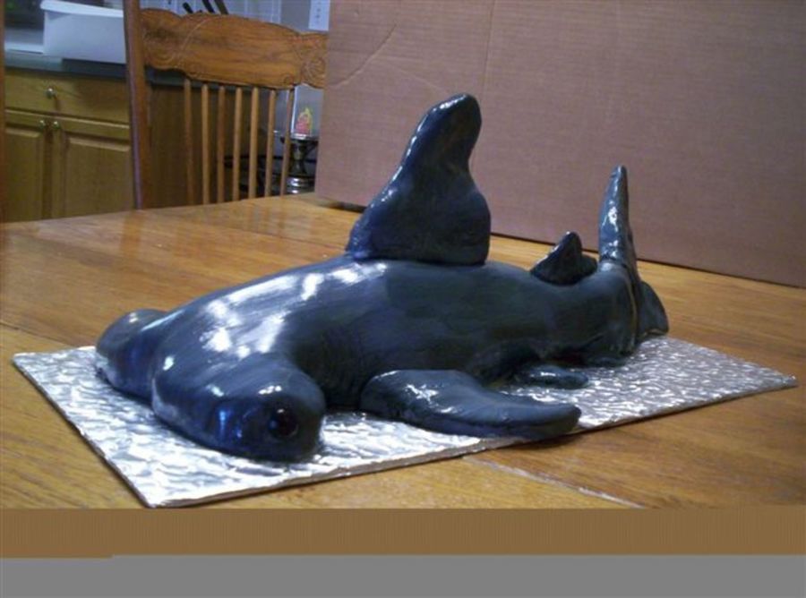Hammerhead Shark Cake