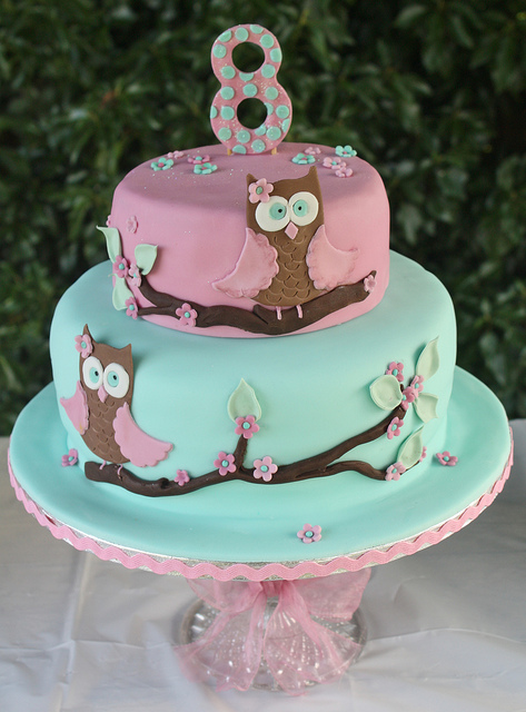 Owl Birthday Cake Ideas Owl Birthday Cake Ideas