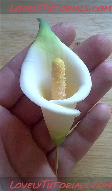 Polymer Clay Calla Lily Tutorial Polymer Clay Calla Lily Tutorial