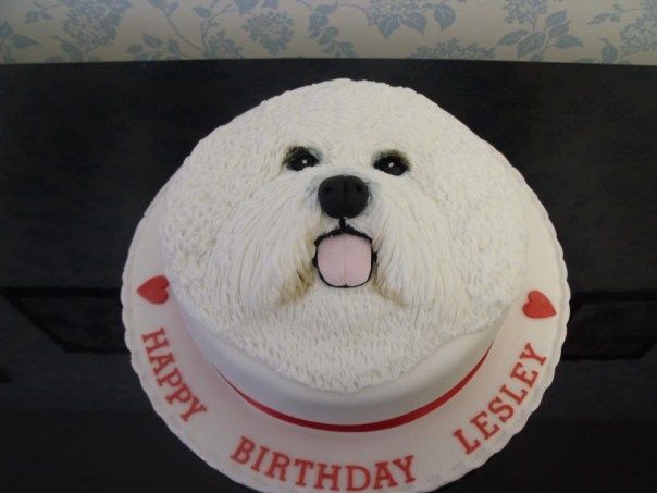 Puppy Dog Face Birthday Cake