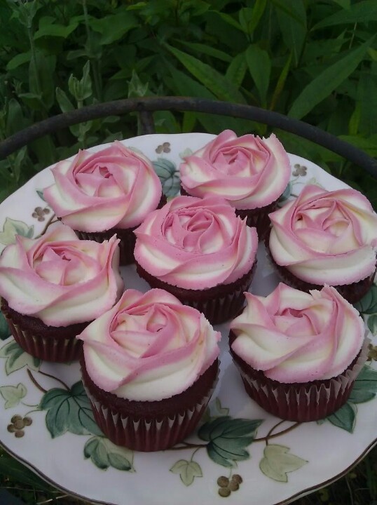 Roses Two Tone Icing Cupcakes