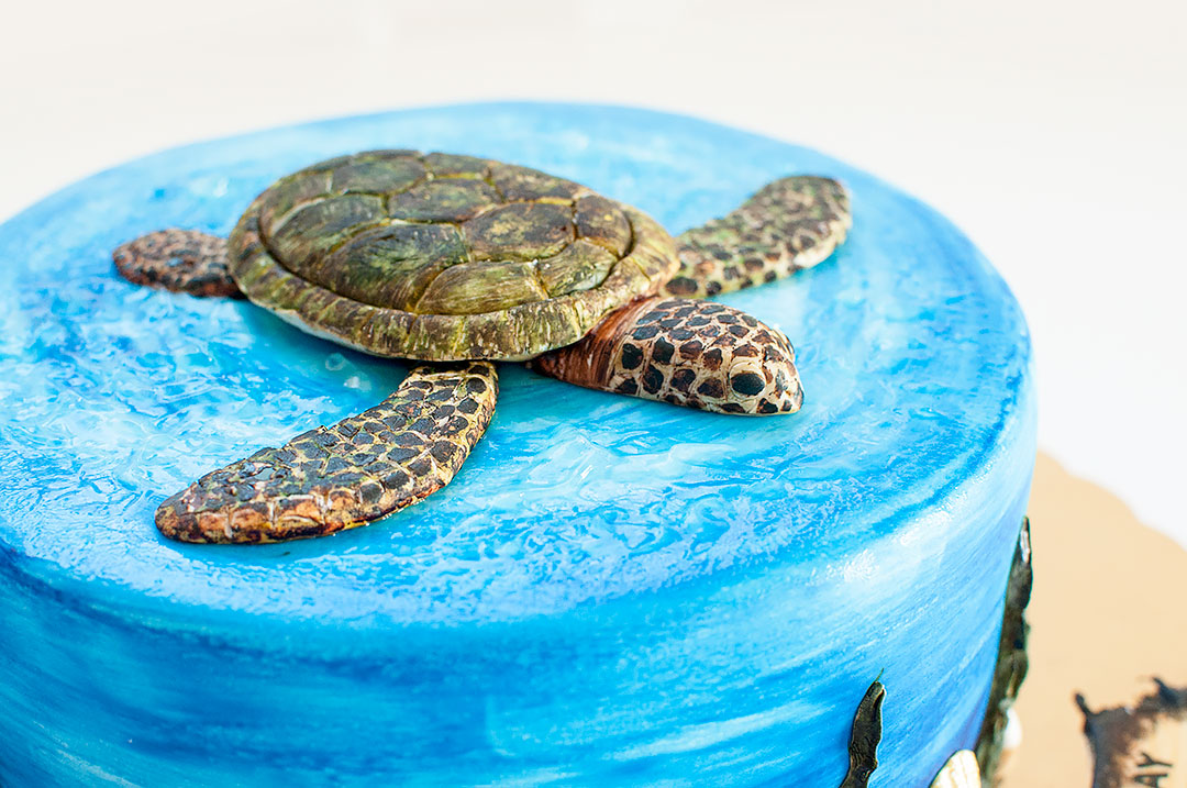 Sea Turtle Cake