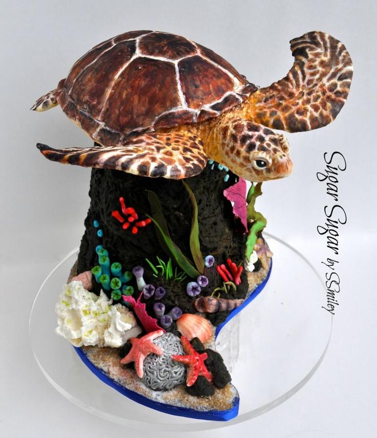 Sea Turtle Cake