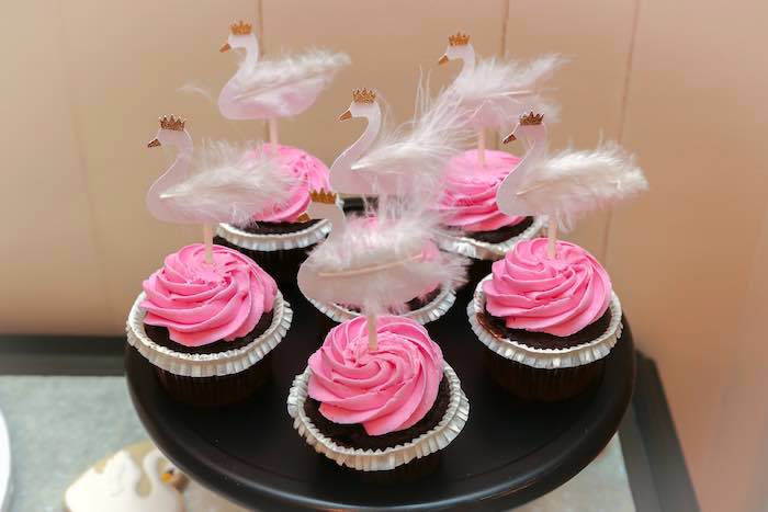 Swan Lake Ballet Birthday Party