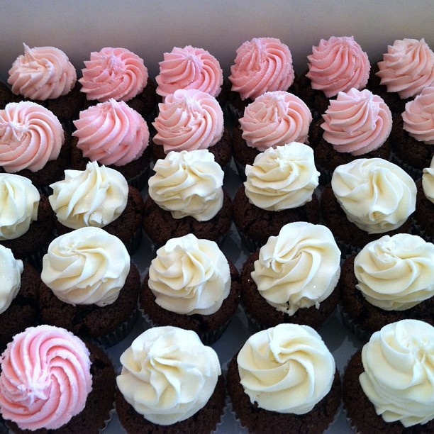 Sweet 16 Cupcakes Sweet 16 Cupcakes