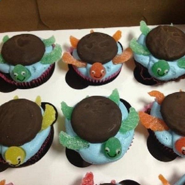 Turtle Cupcake Cake