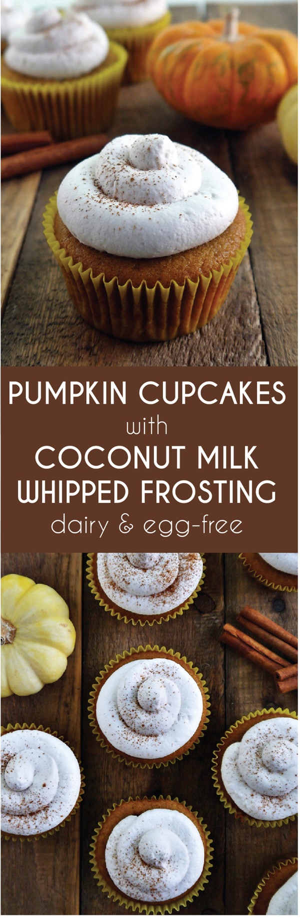 Vegan Pumpkin Pie with Coconut Milk