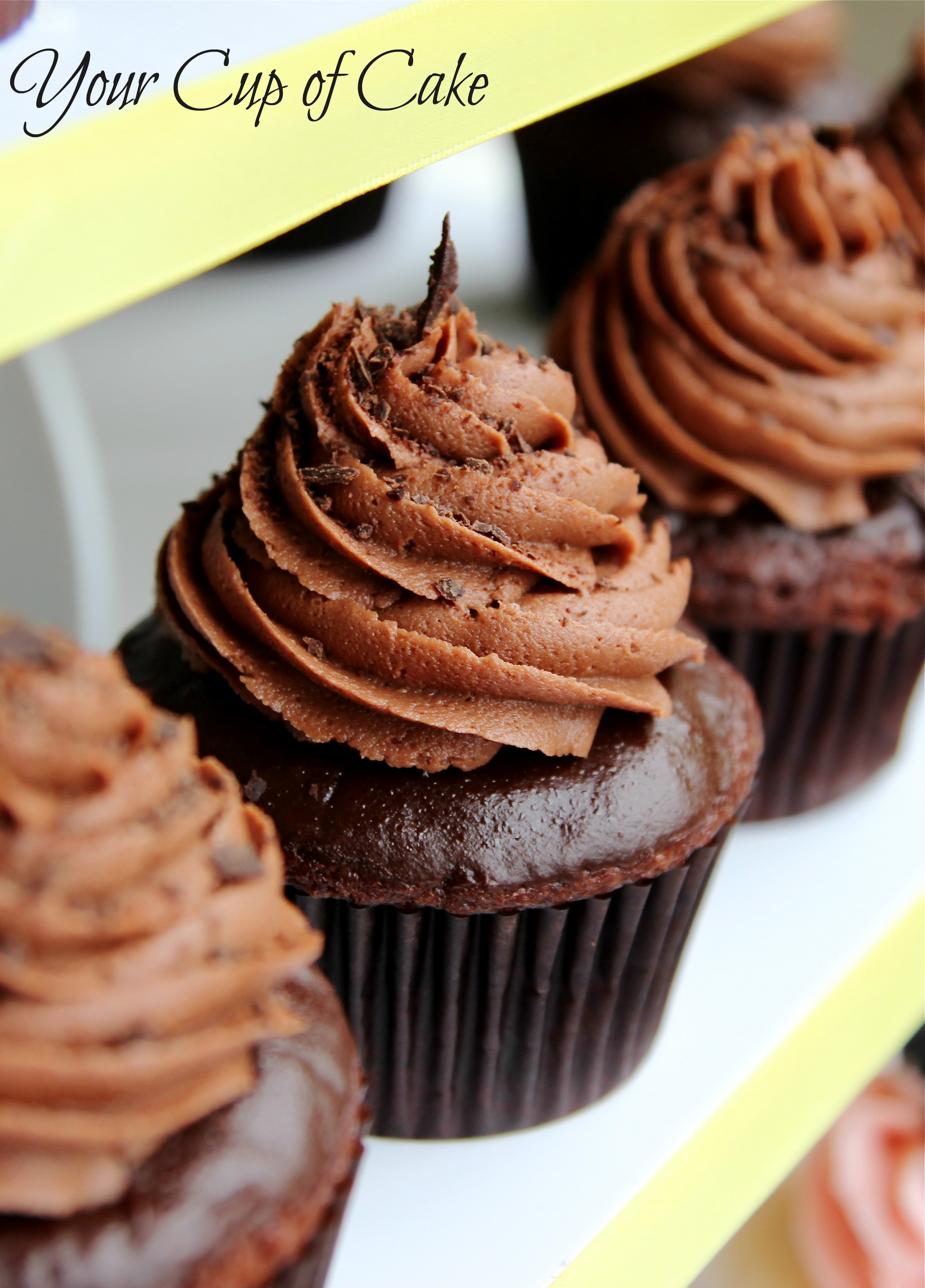 Best Chocolate Cupcake Recipe