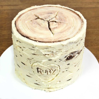 Birch Tree Bark Cake in Buttercream