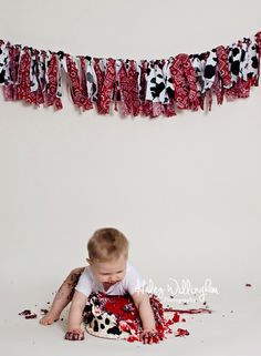 Cowboy First Birthday Photography Cowboy First Birthday Photography
