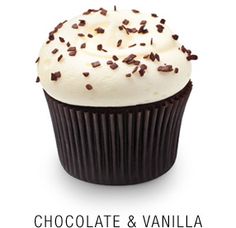 Georgetown Cupcake Chocolate