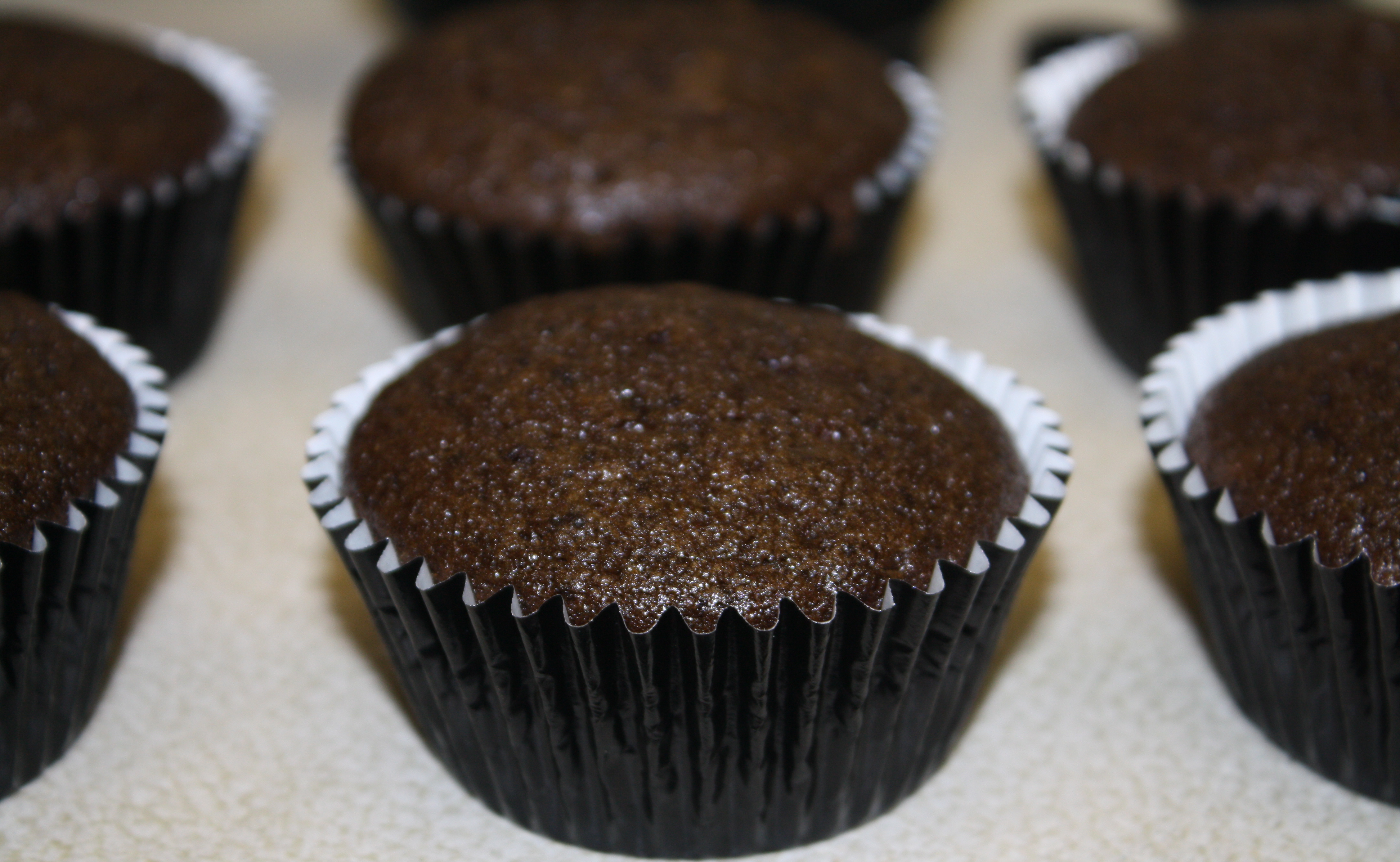 Moist Chocolate Cupcake Recipe