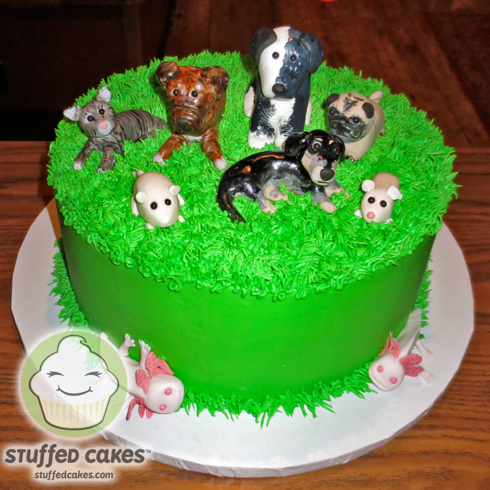 Pet Birthday Cake