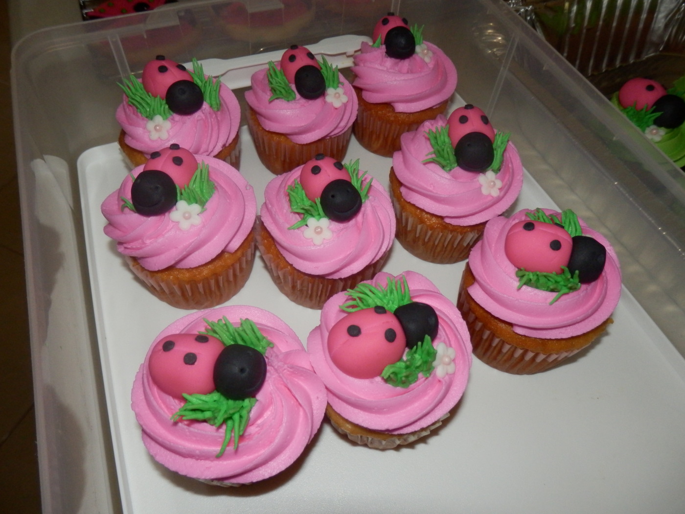 Pink Lady Bug Cake Pops