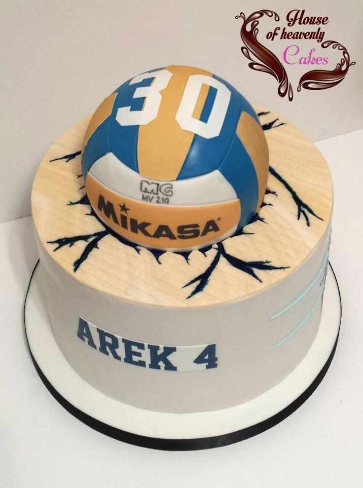 Volleyball Birthday Cake Ideas