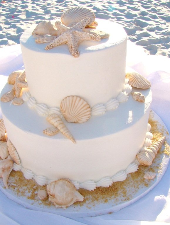 10 Photos of Unique Wedding Cakes 2 Tier Sandy Beach With Seashells Edible 10 Photos of Unique Wedding Cakes 2 Tier Sandy Beach With Seashells Edible