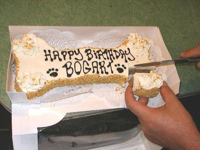 Dog Birthday Cake Recipe