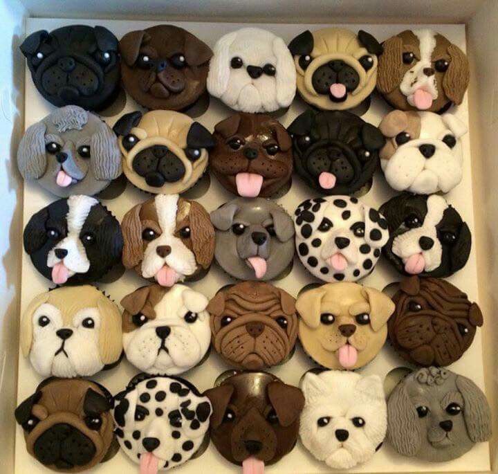 Dog Cupcakes