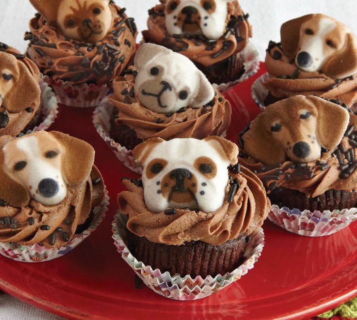 Dogs That Look Like Cupcakes and Cakes