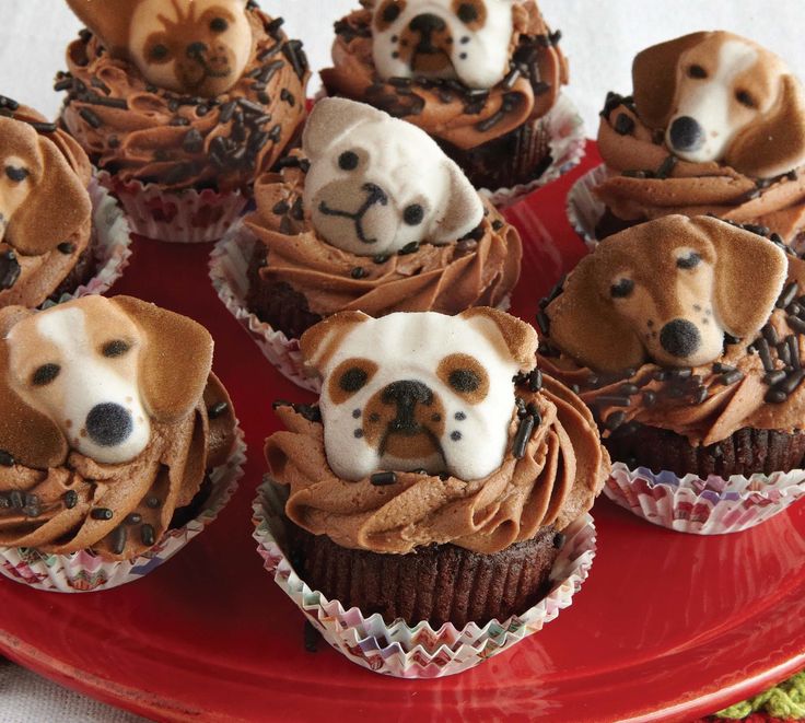 Dogs That Look Like Cupcakes and Cakes Dogs That Look Like Cupcakes and Cakes