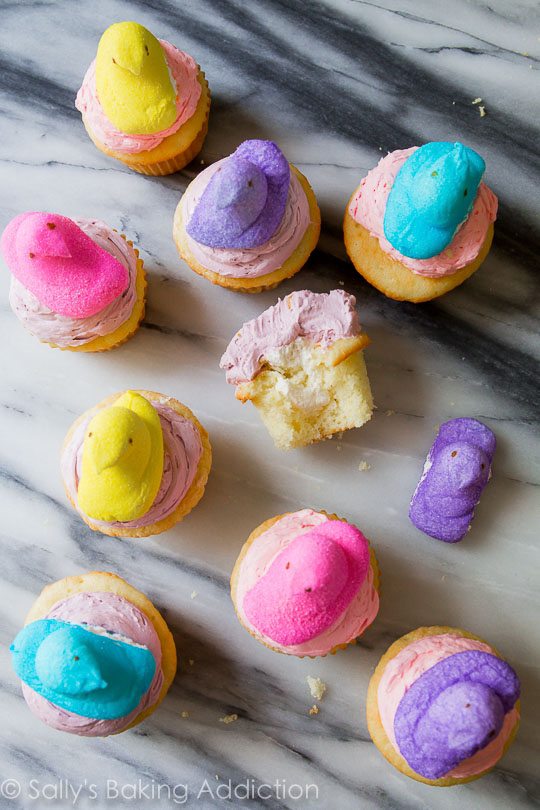 Easter Cake with Marshmallow Peeps