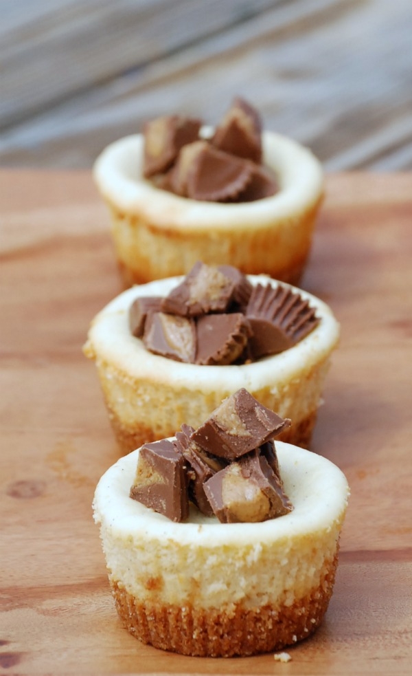Mini Cheesecake with Peanut Butter Cups Mini Cheesecake with Peanut Butter Cups