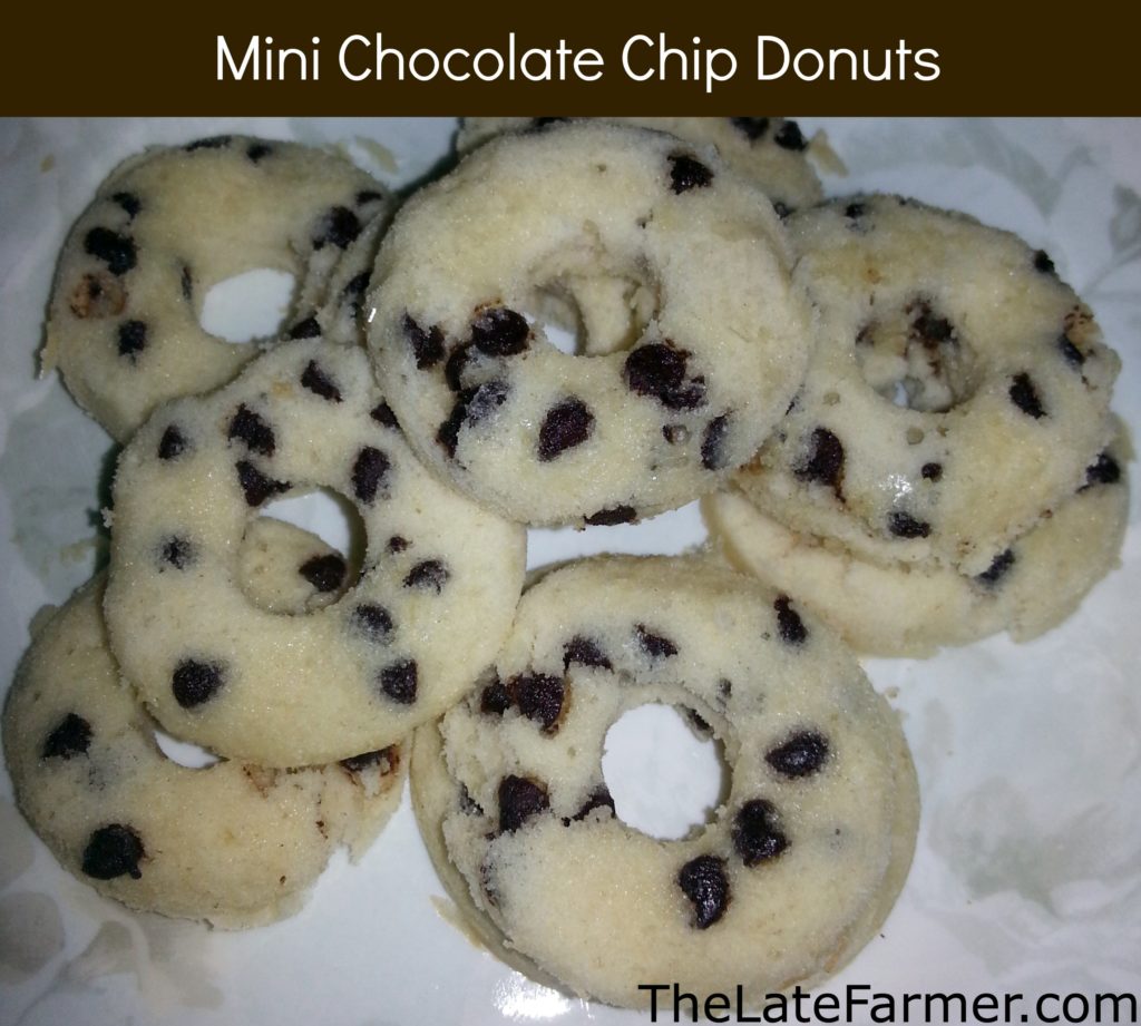 Mini Chocolate Chip Donuts