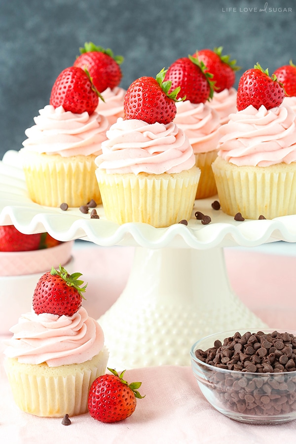 Neapolitan Chocolate Mousse Cupcakes