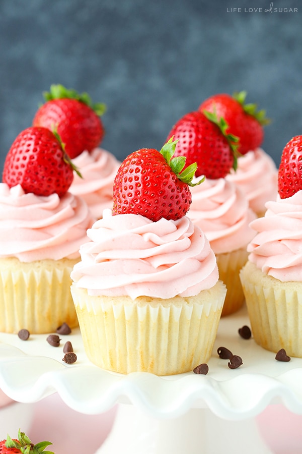 Neapolitan Chocolate Mousse Cupcakes