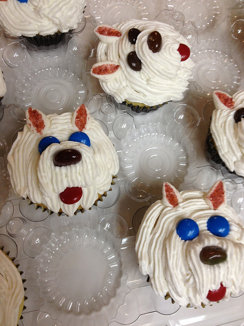 Puppy Dog Decorated Cupcakes