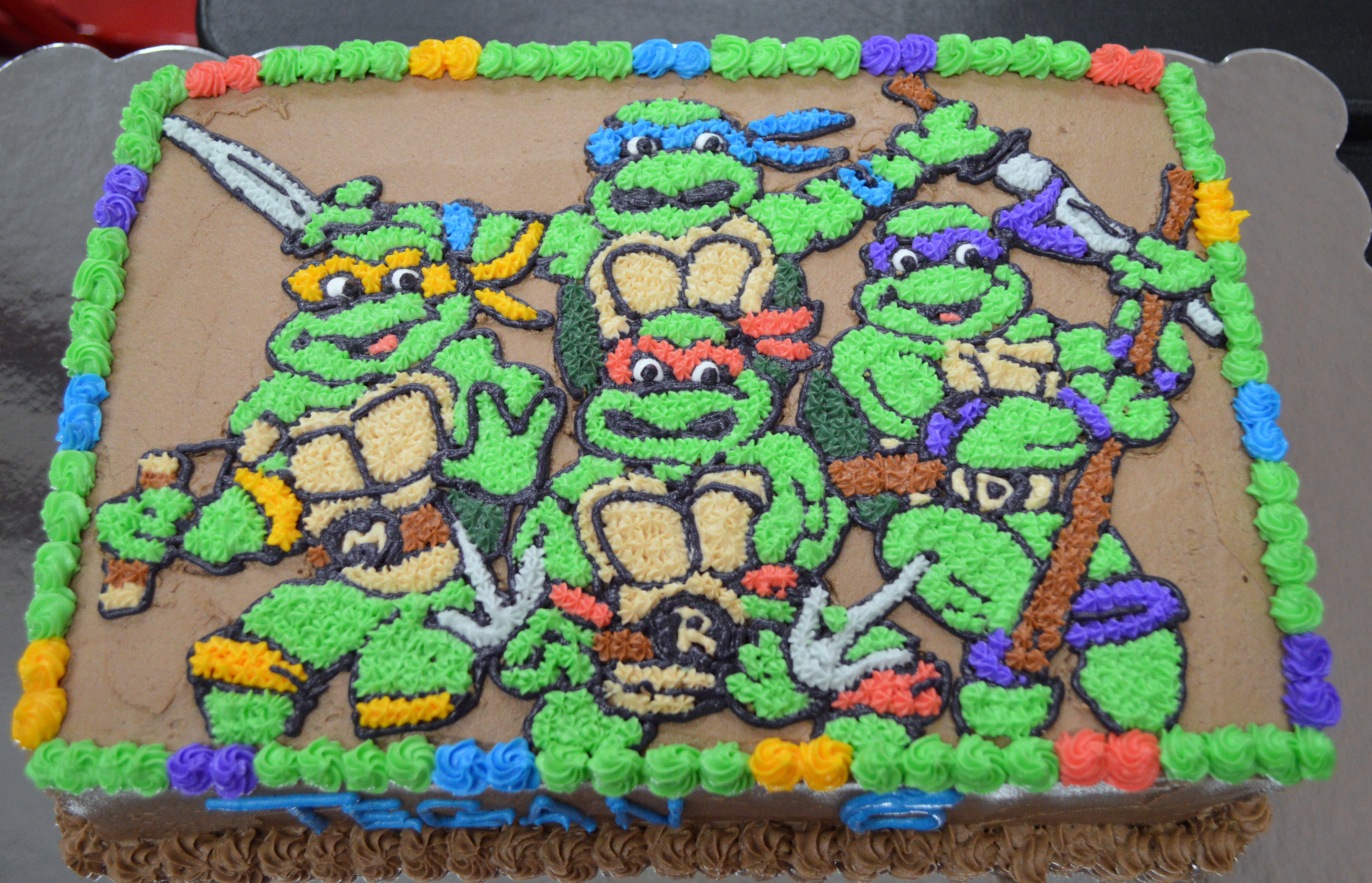 Teenage Mutant Ninja Turtle Cake