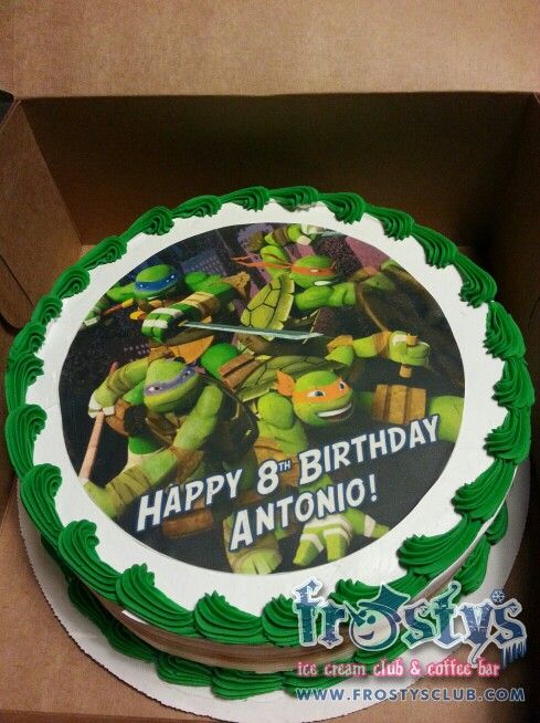 Teenage Mutant Ninja Turtles Ice Cream Cake