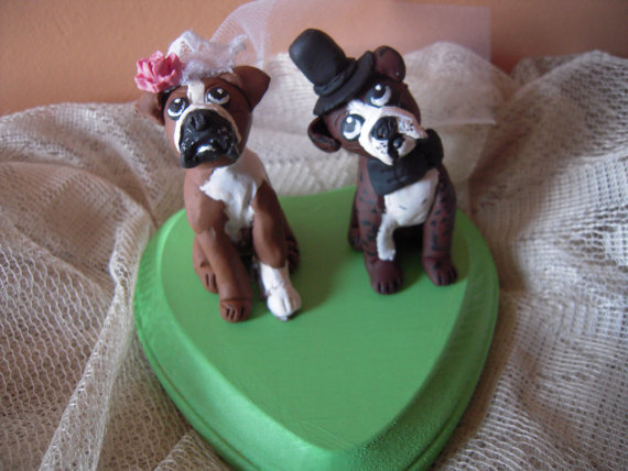 7 Photos of Groom Boxer Dog Cakes