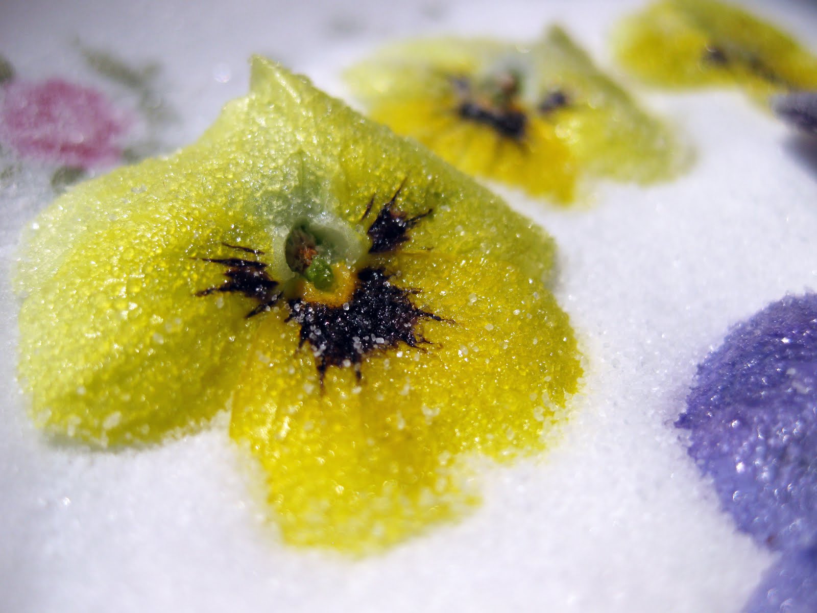 Crystallized Candy Edible Flowers