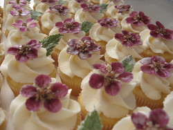 Crystallized Edible Flowers