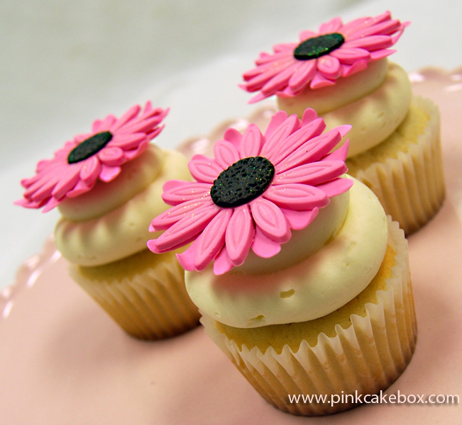 Gerber Daisy Cupcakes