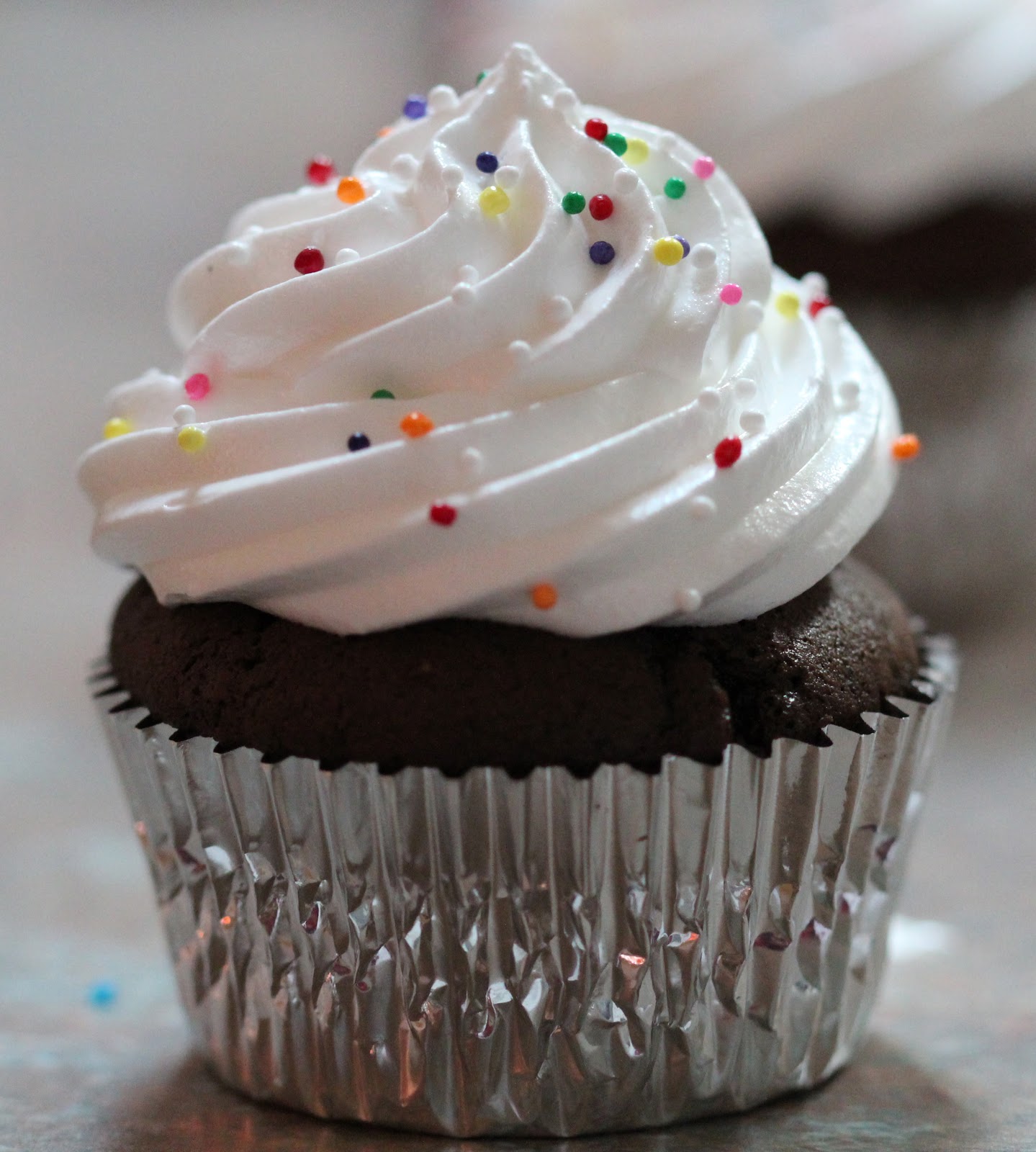 Martha Stewart Devil's Food Cupcakes