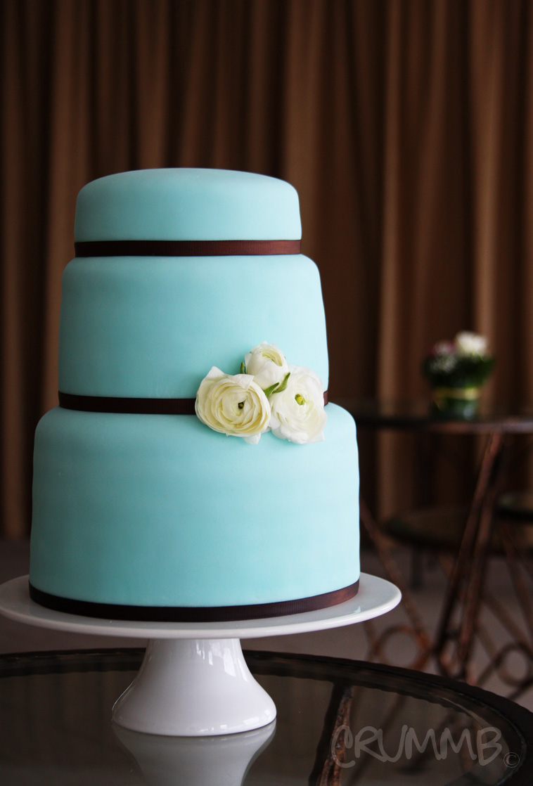 Tiffany Blue Wedding Cake Simple