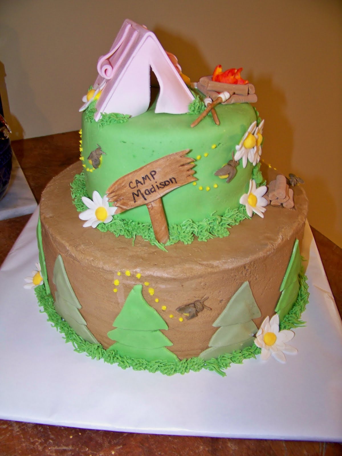 Camping Birthday Party Cake