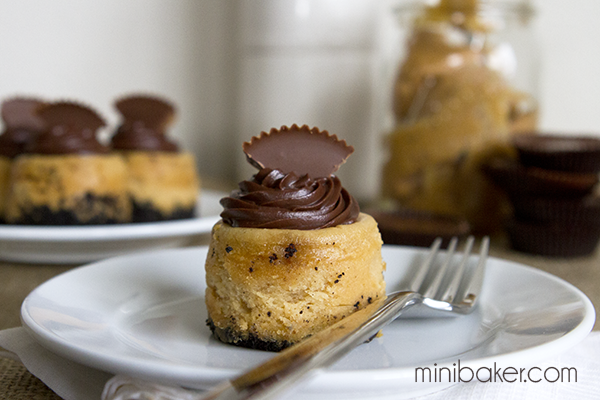 Mini Cheesecake with Oreo Crust Peanut Butter