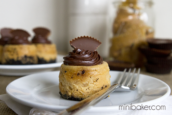 Mini Cheesecake with Oreo Crust Peanut Butter Mini Cheesecake with Oreo Crust Peanut Butter