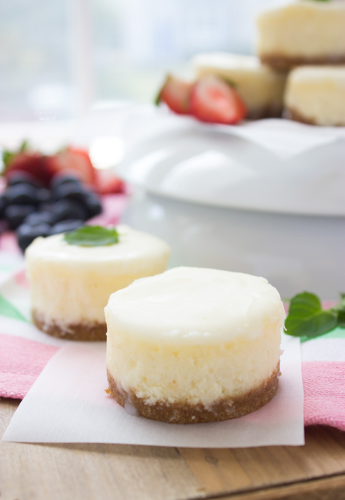 10 Photos of Mini Cheesecakes With Chocolate Crust